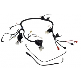 Wiring harness ATV/ STXE 250cc 4T