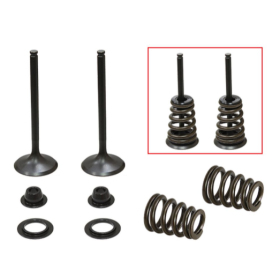 Psychic intake valves set. Husaberg / KTM 450-650cc 00-08