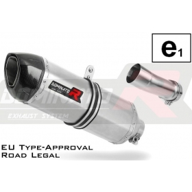 Exhaust silincer Dominator HP1 BMW R1250R 2019-2020