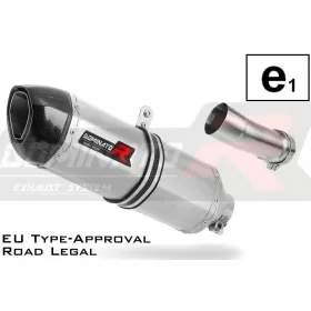 Exhaust silincer Dominator HP1 BMW R1250R 2019-2020