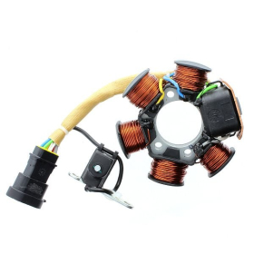 ELECTROSPORT Stator Gilera / Vespa / Derbi / Piaggio / Aprilia 50 97-13
