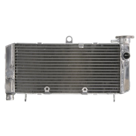 4Ride Radiator HONDA CB 600 1998-2005