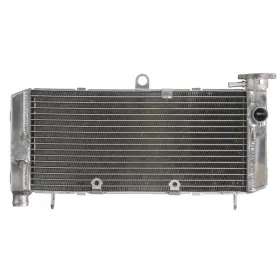 4Ride Radiator HONDA CB 600 1998-2005