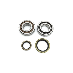 PROX Crankshaft Bearing & Seal Kit Beta RR / Xtrainer 250 22-23