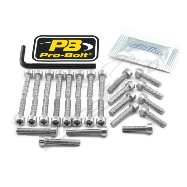 PRO BOLT Aluminium Engine Bolt Kit For Suzuki GSX 1400cc 01-07