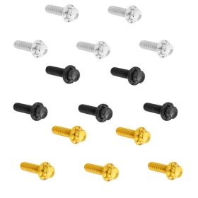 ARLEN NESS Derby Cover 12-Point Titanium Bolt Kit 12pcs. M8