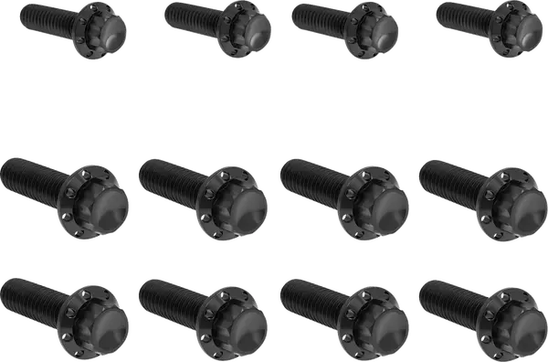 ARLEN NESS Transmission Side Cover & Trap Door Titanium 12-Point Bolt Kit 12pcs. M8