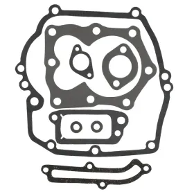 Eurogarden Gasket set B&S 497316