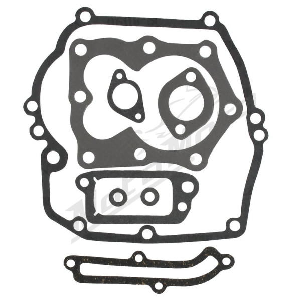 Eurogarden Gasket set B&S 497316