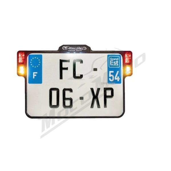 HEINZ BIKES Universal License Plate Holder With Lights
