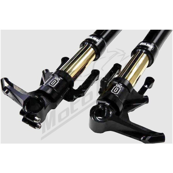 OHLINS Blackline NIX 30 FGRT 307 OLD Front Forks Harley Davidson FLHXSE / FLTRKSE / FLTRXSTSE 1923-1977cc 23-24
