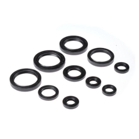 BEARING WORX Engine seals kit Honda TRX 450R 04-05