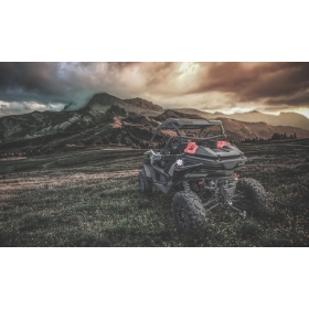 TESSERACT Transportbox CFMOTO ZForce 1000