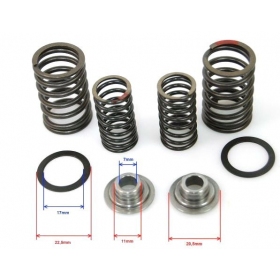 Valve spring, rubber, rentainer kit universal