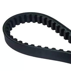 DAYCO PRODUCTS LLC Drive Belt APRILIA CUCCIOLO 50cc 1998-1999