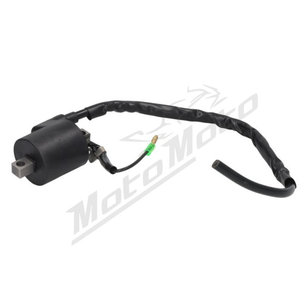 DZE Ignition coil Honda NXR / SDH / Wave 125-150 03-16