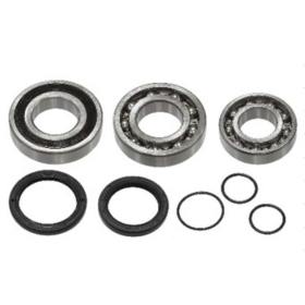 Sno-X grandinės korpuso guolių rinkinys Yamaha Apex / Nytro / Rage / RS / RX 03-11