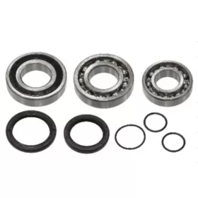 Sno-X Chain case bearing kit Yamaha Apex / Nytro / Rage / RS / RX 03-11