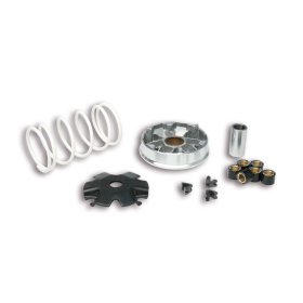 Variatoriaus kompl. MALOSSI Multivar Baotion/ Peugeot V-Clic 50 4T (16x13)