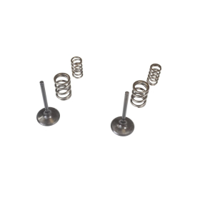 WISECO Intake valves + springs Kawasaki KX 450F 09-10