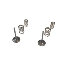 WISECO Intake valves + springs Kawasaki KX 450F 09-10