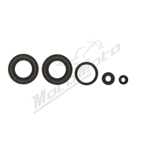 ATHENA Variklio tarpinių kompl. Husqvarna SMR / TC / TE / TXC / WXE 350-630 84-06