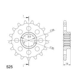 Supersprox / JT Front sprocket 313.16