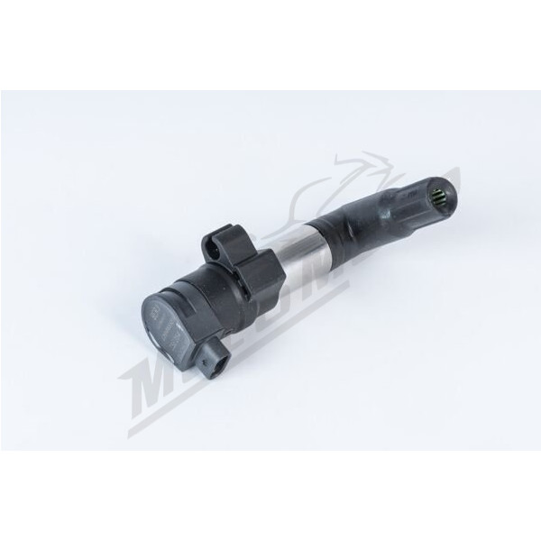 BERU Ignition Coil BMW R 1170cc 16-23
