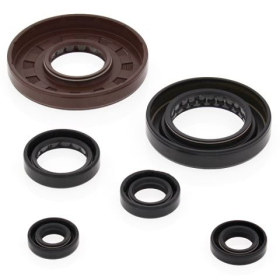 Winderosa (vertex) set (set) of engine seals Honda TRX 500 05-11