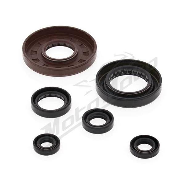 Winderosa (vertex) set (set) of engine seals Honda TRX 500 05-11