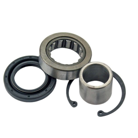 ALL BALLS Inner Primary Bearing Kit Harley Davidson FLD / FLHC / FLHP / FLHR / FLHTK / FLRT 1340-1870 07-22