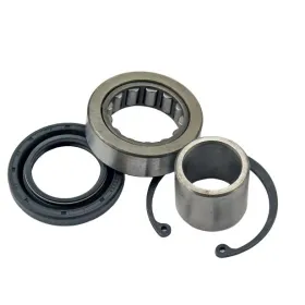 ALL BALLS Transmisijos vidinio guolio ir riebokšlio kompl. Harley Davidson FLD / FLHC / FLHP / FLHR / FLHTK / FLRT 1340-1870 07-22