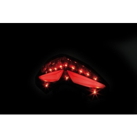 SHIN YO LED Taillight Ducati Multistrada 1200