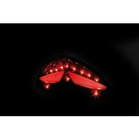 SHIN YO LED Taillight Ducati Multistrada 1200