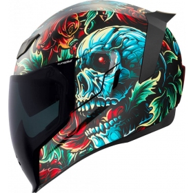 Icon Airflite Omnicrux MIPS Helmet