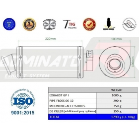 Exhaust silencer Dominator GP1 BMW F800S 2006-2012