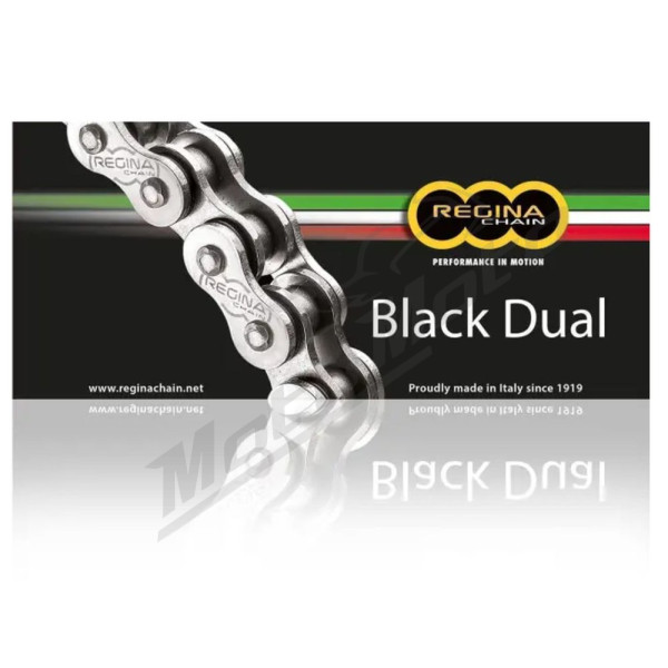 REGINA Dual 525ZRA Z-Ring Chain 124 links