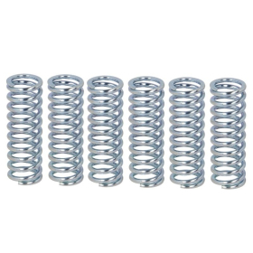 Ferodo Clutch springs set Suzuki GSX-R / SV 650-1000 99-07