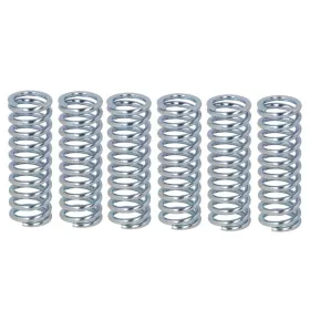 Ferodo Clutch springs set Suzuki GSX-R / SV 650-1000 99-07