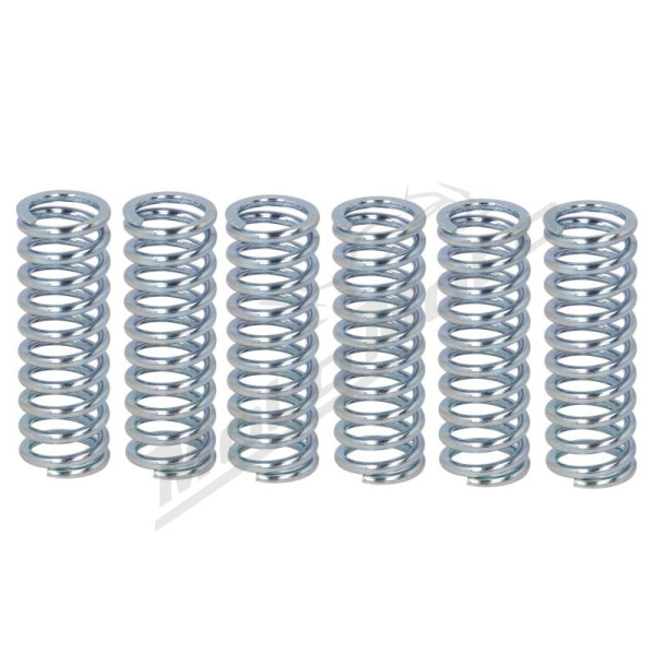 Ferodo Clutch springs set Suzuki GSX-R / SV 650-1000 99-07