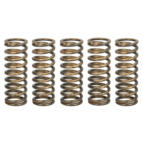 TRW Clutch springs set Honda CRF 250 18-22
