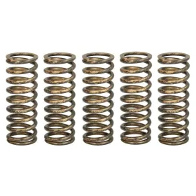 TRW Clutch springs set Honda CRF 250 18-22