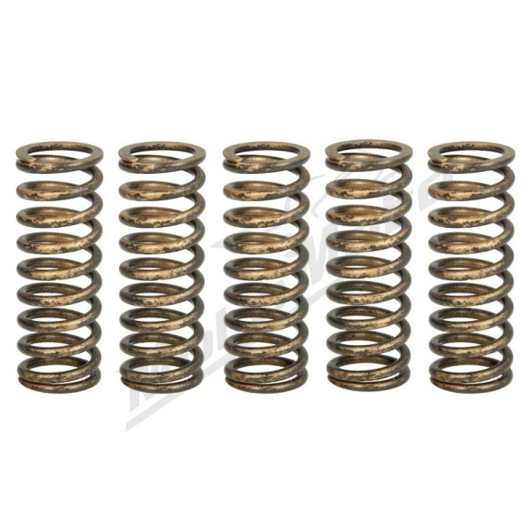 TRW Clutch springs set Honda CRF 250 18-22