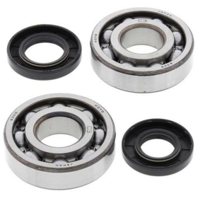 ALL BALLS Crankshaft Bearing & Oil Seal Kit KAWASAKI KX 250 87-02/KDX 250 91-96