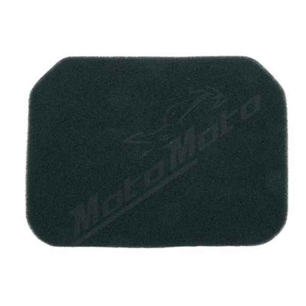 TECNIUM oro filtro kempinė Suzuki AN Burgman 250/400 98-09