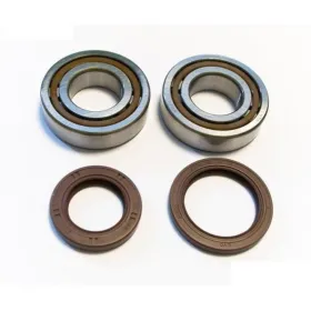 BEARING WORX Alkūninio veleno guolių kompl. Sherco SE 250-300 10-11