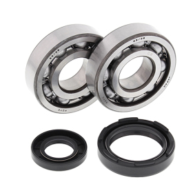ALL BALLS Crankshaft bearings with seals Yamaha WR / YZ 250 88-97