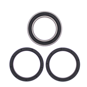 ALL BALLS Rear wheel bearings and seals Can Am DS 450 09-14