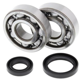 ALL BALLS Crankshaft Bearing & Oil Seal Kit SUZUKI RM 125 89-08