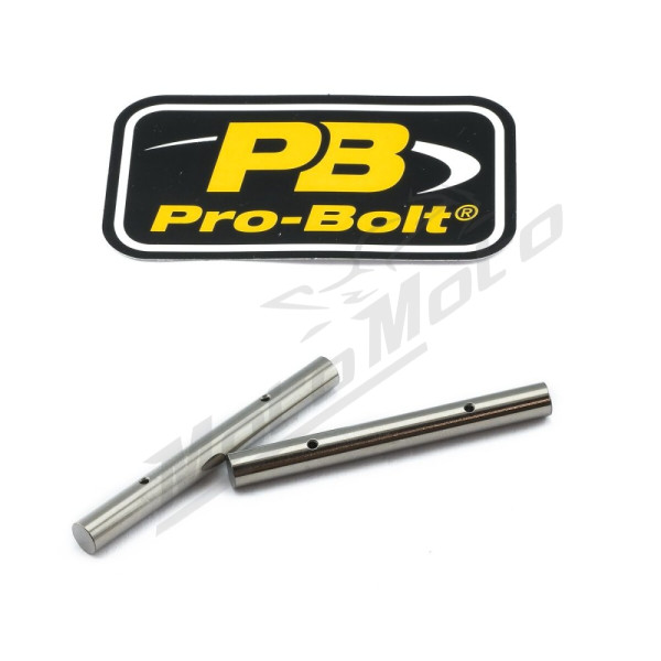 PRO BOLT Brake Caliper Pin Yamaha FZ6 / XJR 600-1300cc 07-16